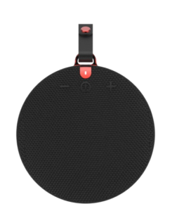 Portable Speaker